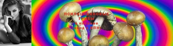 МДМА Белокуриха